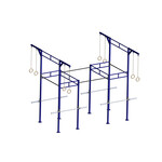 PTessentials Heavy Duty Crossfit Rig V24 - Blue Coloured Rig