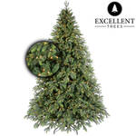 Wintervalley Trees - Kunstkerstboom Howard met LED verlichting -210x135cm - Groen