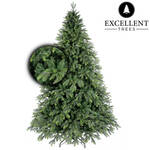 Wintervalley Trees - Kunstkerstboom Howard met LED verlichting - 150x90cm - Groen