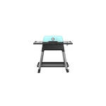 Everdure - Force Gas Barbecue 30 mBar - Roestvast Staal - Grijs