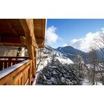 Chalet Bergerblick Zillertal Arena