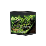 Oase StyleLine 85 aquarium zwart