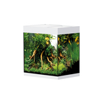 Oase StyleLine 85 aquarium wit