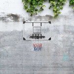 vidaXL Basketbalstandaard 216-250 cm polycarbonaat transparant