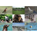 3 belevenissen voor de dierenliefhebber in 1 pakket
