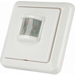 Draadloze bewegingsmelder Somfy Home Alarm 2401490