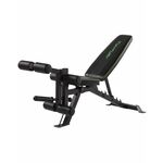 Gyronetics Buikspierbank - Verstelbaar - Opklapbaar - Fitnessbank - Sit Up Bench
