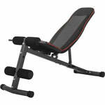 Gyronetics Buikspierbank - Halterbank - Fitnessbank - Verstelbaar
