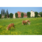 Bungalowpark Landsrade