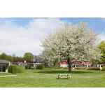 Bungalowpark Schin op Geul