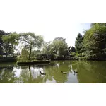 Camping Bergumermeer