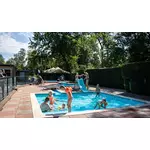 Camping De Scherpenhof - Succes