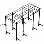 PTessentials Heavy Duty Crossfit Rig V12