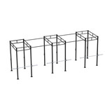 PTessentials Heavy Duty Crossfit Rig V27
