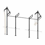 PTessentials Wall Mount Crossfit Rig V12