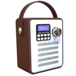 Audizio Milan draagbare DAB radio met Bluetooth, FM radio en accu -