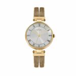 Skagen SKW2739 Dames Horloge 36mm 5ATM