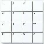 Siedle 200007037-00 Montageaccessoire voor Deurintercom (accessoire) Bruin