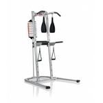 BowFlex Sale - BodyTower - Met Ab Slings en dip straps