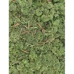 IJslandsmos cladonia donkergroen 0,5 m2