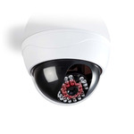 SEC24 dummy camera dome DMC430