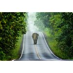 15-daagse rondreis Hart van Thailand