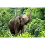 16-daagse rondreis Centraal- en Noord-Thailand
