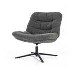 Fauteuil Danica Baguer Lichtgrijs