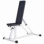 Gyronetics Vlakke Fitnessbank (verstelbaar)