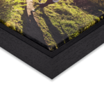 Canvas Met Lijst 30 x 30