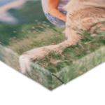 Foto Op Canvas 20x20