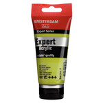 Royal Talens Amsterdam Standard Series Acrylverf Tube 120 ml - Geelgroen Licht 664