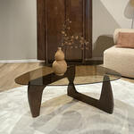 Brix Organische Salontafel Esmee Glas en mangohout, 110 x 70cm - Bruin