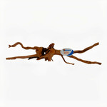 Teak en hardhout reinigingsset