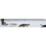 Lapland groepsreis 28-38 jaar