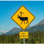 Groepsrondreis Alaska en Yukon - Kampeer/hotel reis