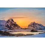 Groepsrondreis Antarctica en South Georgia - pinguinsafari