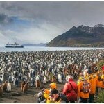 Groepsrondreis Antarctica, S. Georgia en de Poolcirkel