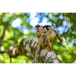 Groepsreis Costa Rica