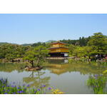 Groepsrondreis Japan