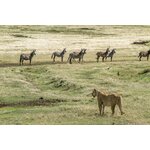 Groepsrondreis Kenia, Tanzania en Zanzibar Hoogtepunten