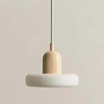 Luxe Design Glazen Bol Hanglamp