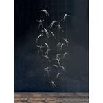 Terzani - Angel Falls Hanglamp Kristal
