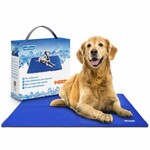 MaxxPet Hondenbench - Bench - Bench voor honden - Hondenbench Opvouwbaar - 78 x 47 x 55 - Zwart