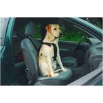 Veiligheidsriem Seat Belt Loop