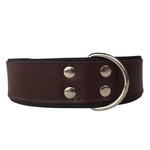 Hondenhalsband Ecco Sport Basic Rood