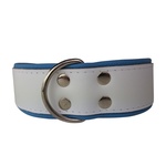 Hondenhalsband Ecco Sport Basic Rood