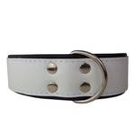 Hondenhalsband Ecco Sport Basic Zwart