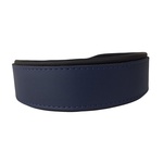 Hondenhalsband Blue River 50mm