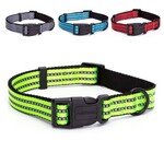 Hondenhalsband Daisy Paars